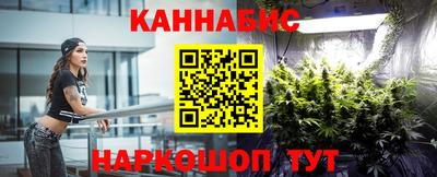 гидра Гагарин