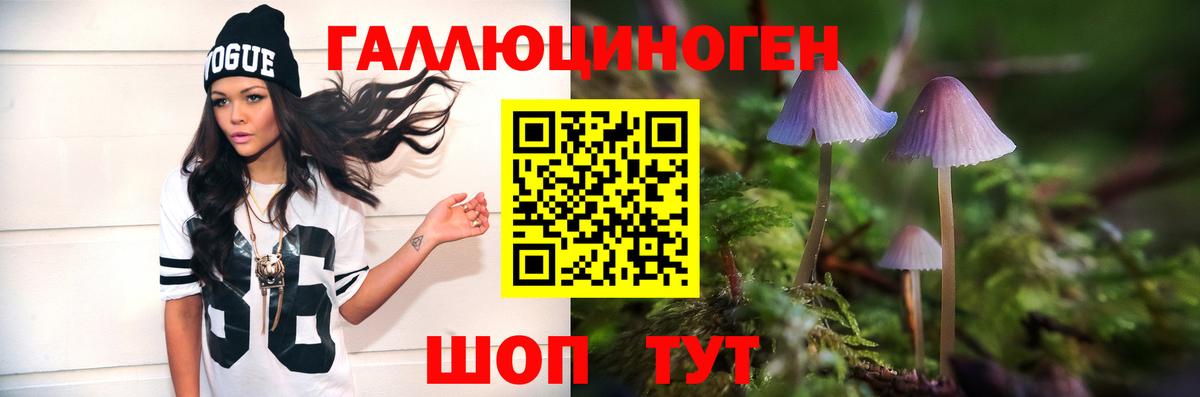 дарнет шоп  Вход с VPN  Добрянка  Галлюциногенные грибы Psilocybe 